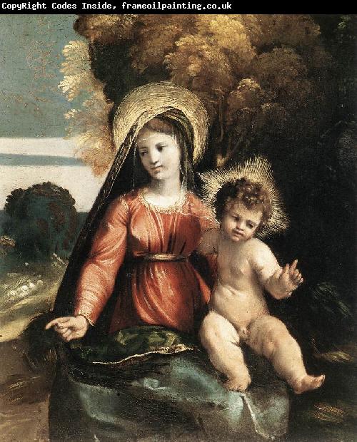 DOSSI, Dosso Madonna and Child ddfhf